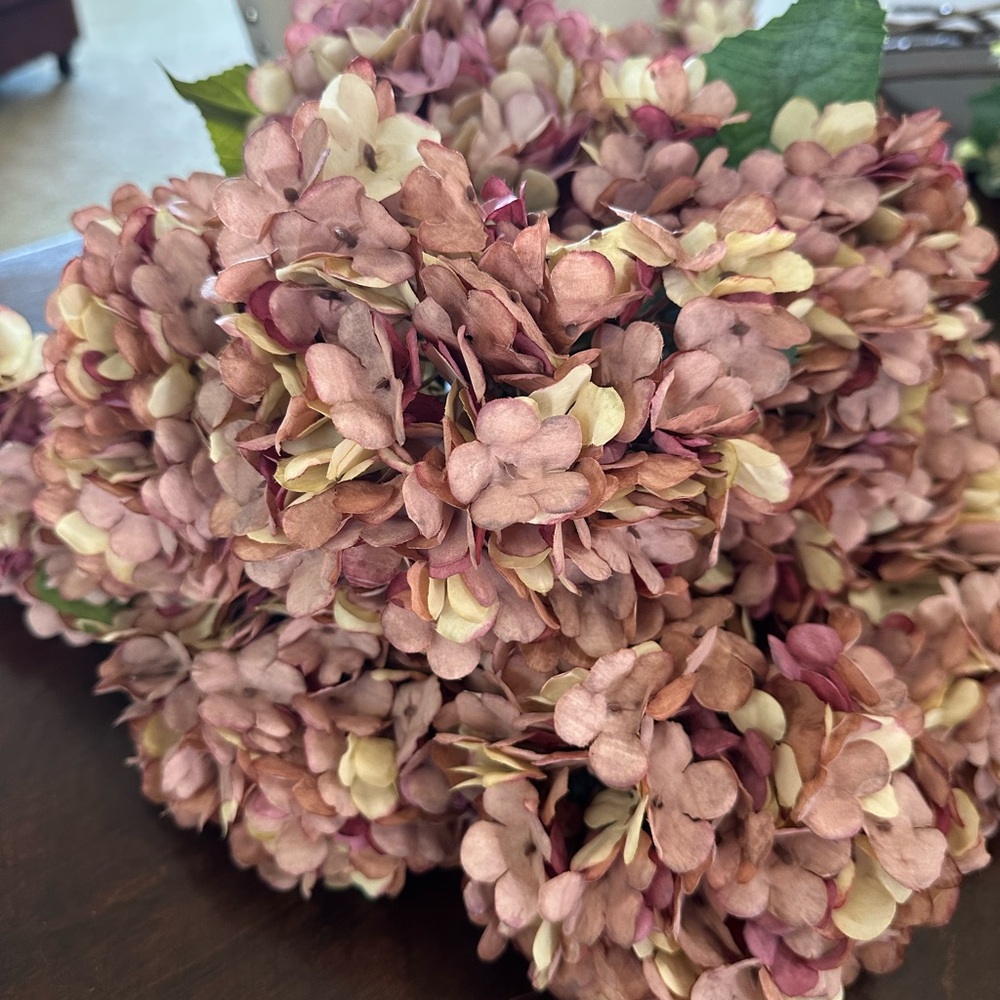 Preserved Hydrangea Bouquet - Dusty Rose and Cream